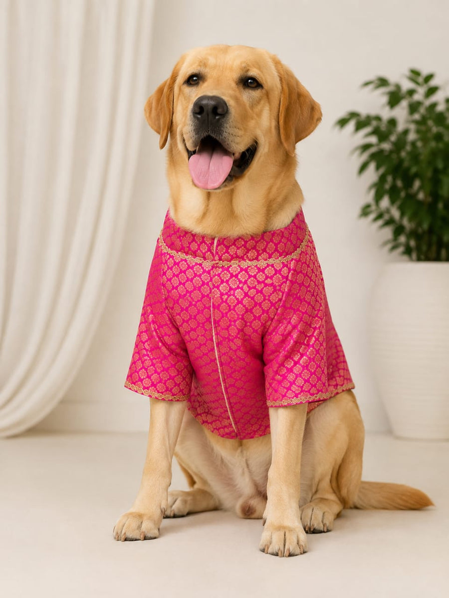 Maharaja Pink Festive Kurta for Pets