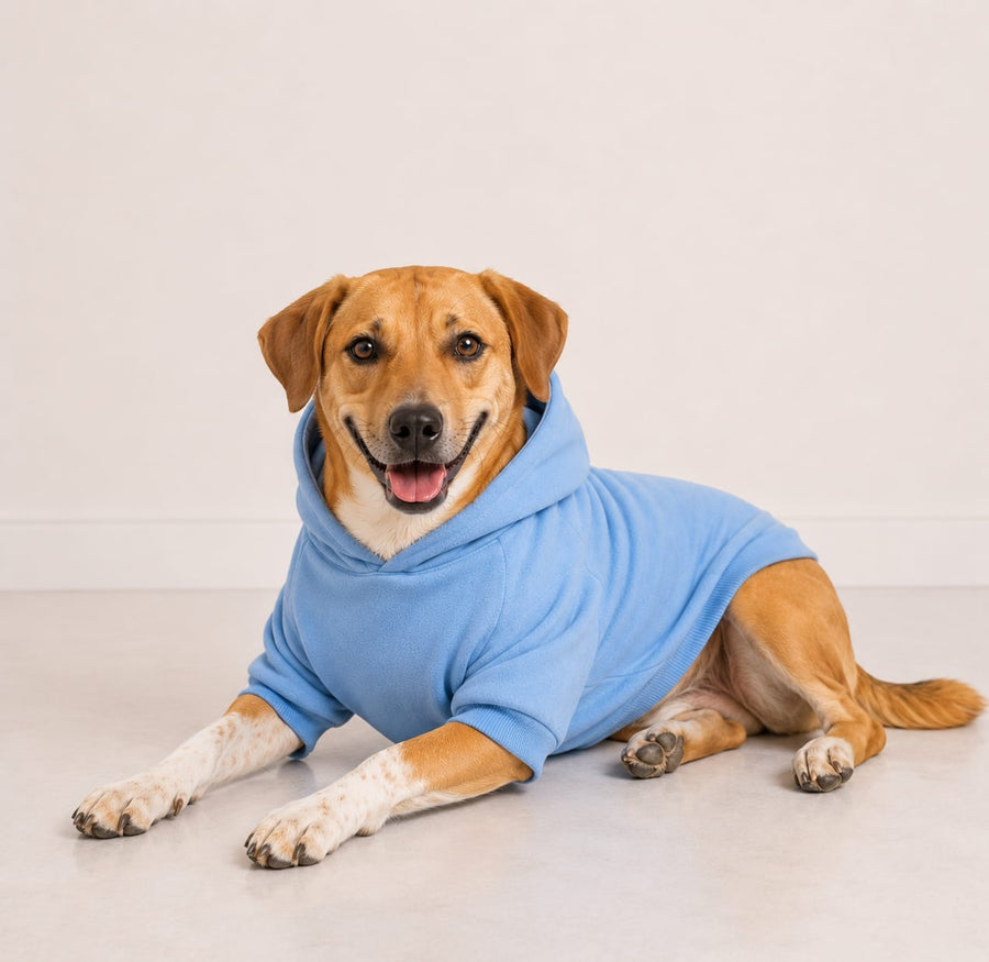 Paw Star Hoodie