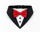 Tuxedo Bandana