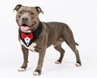 Tuxedo Bandana
