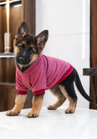 Pullover Sweater for Dogs and Cats