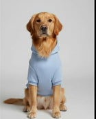 Paw Star Classic Hoodie