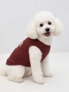 Classic Maroon Tee