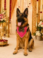 Royal Pink Festive Pet Bandana