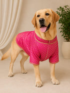 Maharaja Pink Festive Kurta for Pets