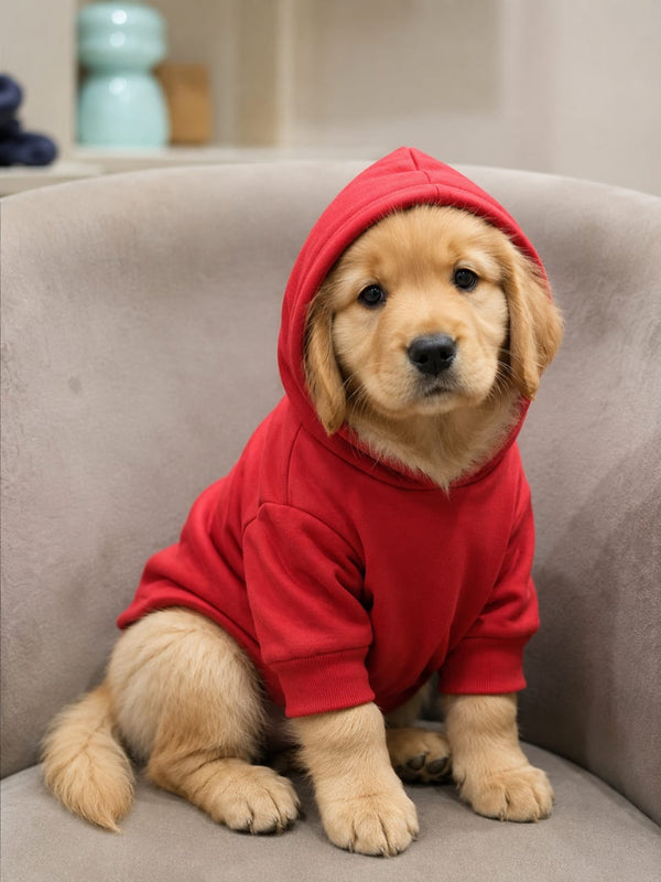 Winter Wear