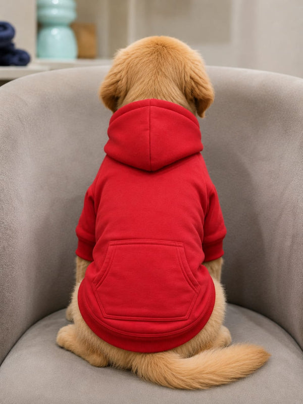 Classic Hoodie