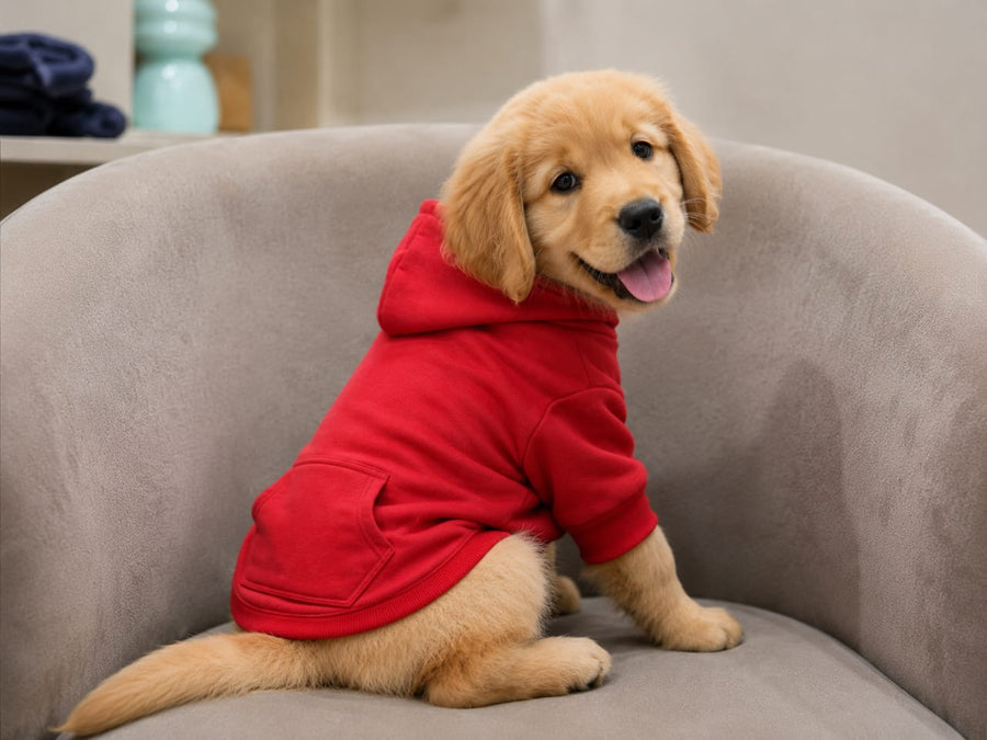 Classic Hoodie