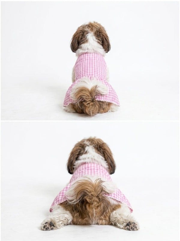 Pink Gingham Dress