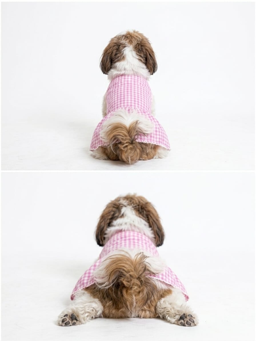 Pink Gingham Dress