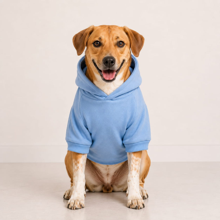 Paw Star Hoodie