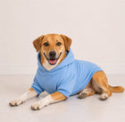 Paw Star Hoodie