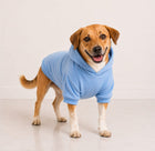 Paw Star Hoodie