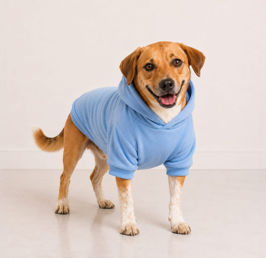 Paw Star Hoodie