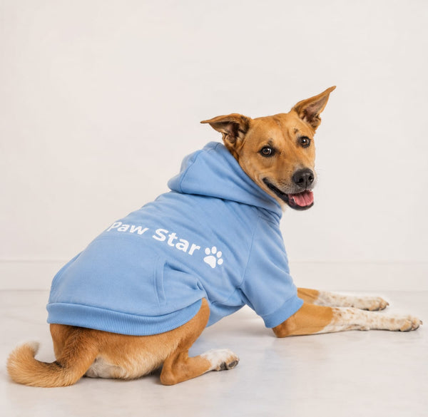 Paw Star Hoodie
