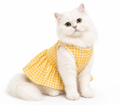 Gingham Sundress
