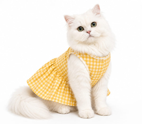 Gingham Sundress