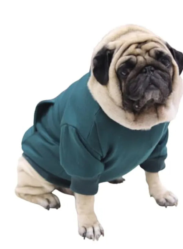 Fleece Comfort Hoodie