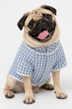 Pet Kurta