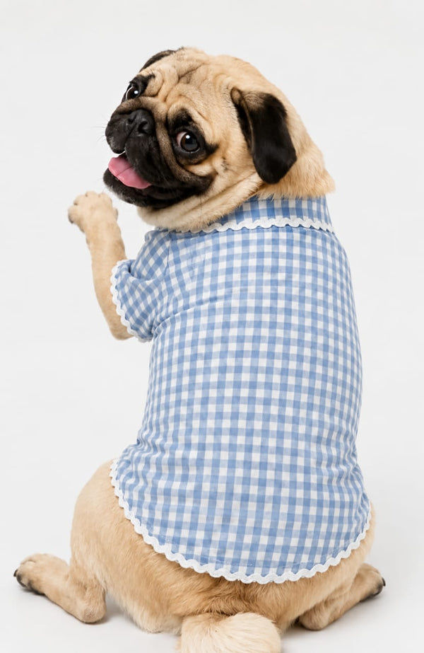 Pet Kurta