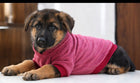 Pullover Sweater for Dogs and Cats