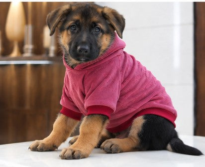 Pullover Sweater for Dogs and Cats