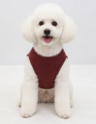 Classic Maroon Tee