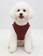 Classic Maroon Tee