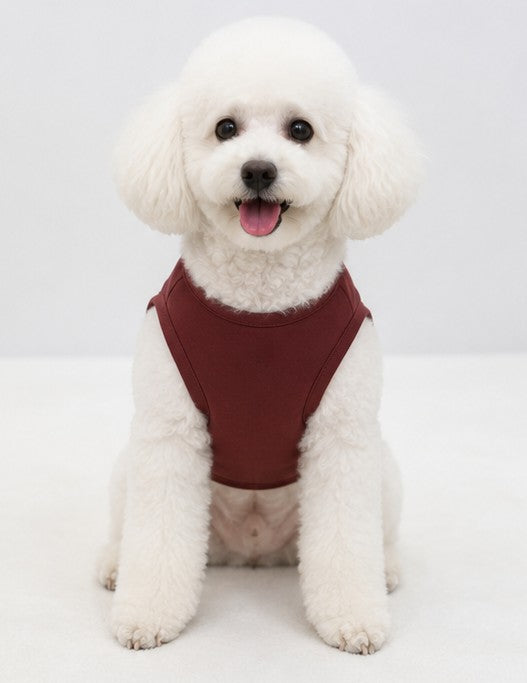Classic Maroon Tee