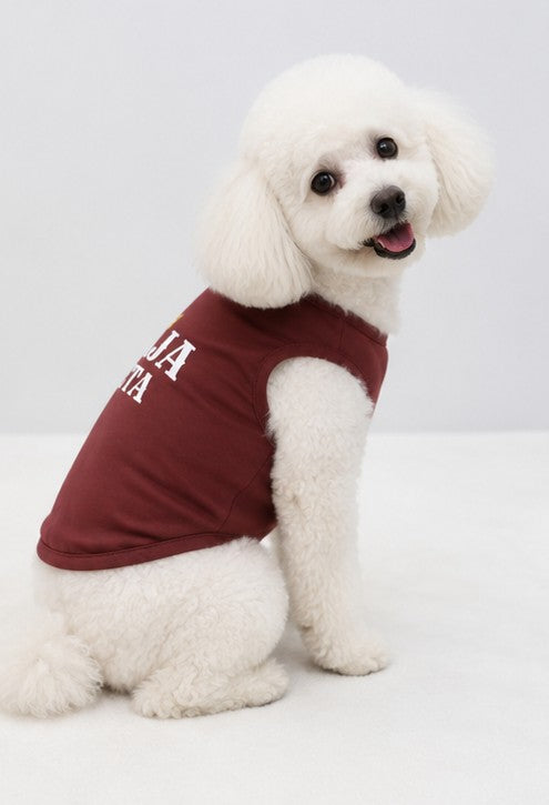 Classic Maroon Tee