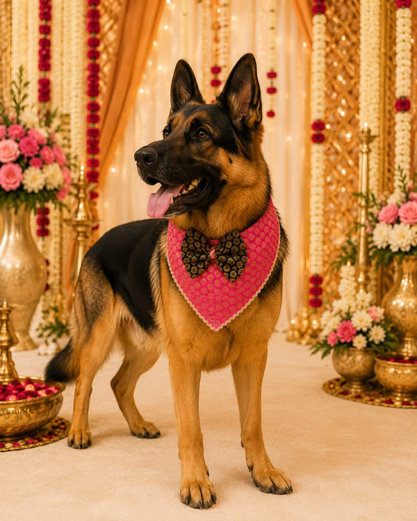 Royal Pink Festive Pet Bandana