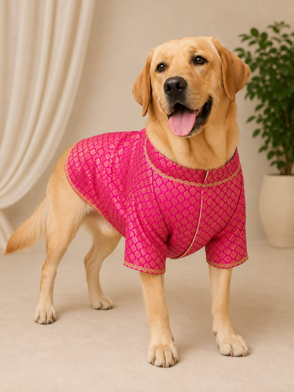 Maharaja Pink Festive Kurta for Pets