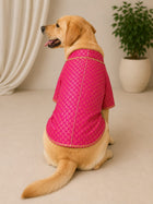 Maharaja Pink Festive Kurta for Pets