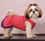 Soft Cotton Summer Outfit for Small Dogs and Cats